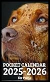 Pocket Calendar 2025 - 2026 for Purse: 2 Year Pocket Planner January 2025 - December 2026 | Bloodhound Dog Cover Design