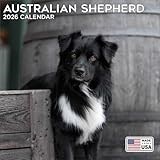 2026 Australian Shepherd Calendar - Dog Breed Wall Calendar - 12 x 24 Open - Thick No-Bleed Paper - 14 Month Planner Calendar Organizing & Planning