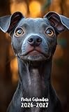 Pocket Calendar 2026-2027: Small 2-Year Monthly agenda from January 2026 to December 2027 purse size | Italian Greyhound Dog Design