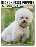Bichon Frise Puppies Calendar 2026 - 2027: Organize Your Life With Monthly Planner Jan 2026 To Dec 2027 Scenic Images Us Holidays Ideal For Presents