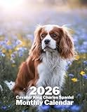 Cavalier King Charles Spaniel 2026 Calendar – 8.5 x 11 Inch Monthly Planner with Adorable Spaniel Photos: 12 Months of Sweet, Fluffy Companions – Perfect for Home, Office, or Fridge Display