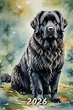 2026: Small Monthly Calendar Planner - Watercolor Newfoundland Dog