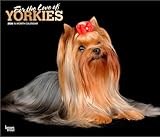 Yorkshire Terrier calendar thumbnail
