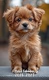 Pocket Calendar 2026-2027: Small 2-Year Monthly agenda from January 2026 to December 2027 purse size | Pekingese Dog Design