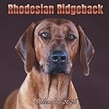 Rhodesian Ridgeback Calendar 2026: 12 Months Organizer From January to December