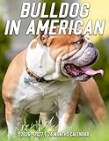 Bulldog In American Calendar 2026 - 2027: Stay Organized from 2026 to 2027 with a Planner Made for Friends Family and Daily Use