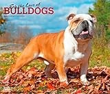 For the Love of Bulldogs | 2026 14 x 24 Inch (Hanging) Monthly Deluxe Wall Calendar | Foil Stamped Cover | Plastic-Free | BrownTrout | Animal Dog Breeds