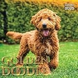 Goldendoodle calendar thumbnail