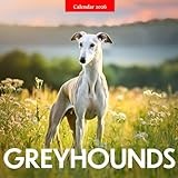 Greyhounds 2026 Calendar: Grace, Speed, and Gentle Companions