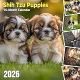 Shih Tzu Puppies 2026 Calendar: Adorable Shih Tzu pups to brighten your year