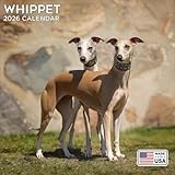 2026 Whippet Calendar - Dog Breed Wall Calendar - 12 x 24 Open - Thick No-Bleed Paper - 14 Month Planner Calendar Organizing & Planning