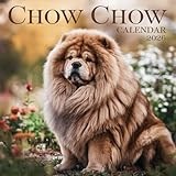 Chow Chow Calendar 2026: 12 months of dogs: from January to December 2026 | The ideal gift for both planning, organization and dogs