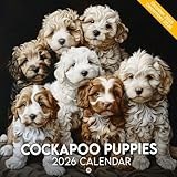 Cockapoo Puppies Calendar 2026: Fluffy Curls and Puppy Eyes in Heart-Melting Scenes