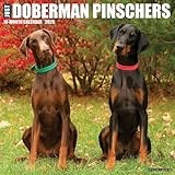 Doberman Pinscher calendar thumbnail
