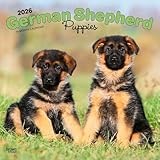 German Shepherd Puppies | 2026 12 x 24 Inch (Hanging) Monthly Square Wall Calendar | Plastic-Free | BrownTrout | Animals Dog Breeds Puppy