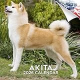 2026 Akita Calendar - Dog Breed Wall Calendar - 12 x 24 Open - Thick No-Bleed Paper - 14 Month Planner Calendar Organizing & Planning