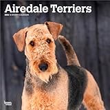 Airedale Terriers | 2026 12 x 24 Inch (Hanging) Monthly Square Wall Calendar | Plastic-Free | BrownTrout | Animal Dog Breeds