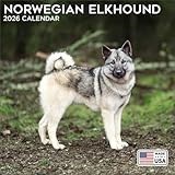 2026 Norwegian Elkhound Calendar - Dog Breed Wall Calendar - 12 x 24 Open - Thick No-Bleed Paper - 14 Month Planner Calendar Organizing & Planning
