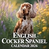 English Cocker Spaniel calendar thumbnail