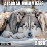 Alaskan Malamutes Calendar 2026: A Year with This Arctic Working Dog Breed