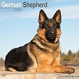 German Shepherd Dog calendar thumbnail