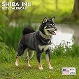 2026 Shiba Inu Calendar - Dog Breed Wall Calendar - 12 x 24 Open - Thick No-Bleed Paper - 14 Month Planner Calendar Organizing & Planning