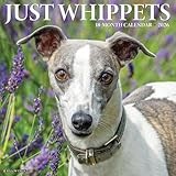 Whippets 2026 Wall Calendar