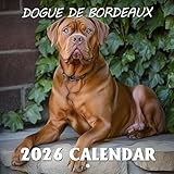 Dogue De Bordeaux Calendar 2026: Powerful presence and gentle hearts featured through the year | Kalender Calendario Calendrier