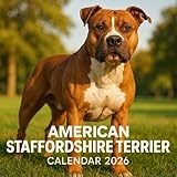 American Staffordshire Terrier calendar thumbnail