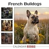 French Bulldogs Calendar 2026: Big Ears and Bigger Hearts in Daily Moments