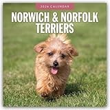 Norwich Terrier calendar thumbnail