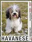 Havanese Calendar 2026 - 2027: Monthly Layout for 2026–2027 with Notes Section and Goal Tracking