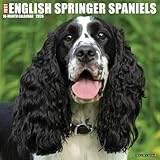 English Springer Spaniels 2026 Wall Calendar