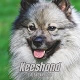 Keeshond Calendar 2026: 12 Months Organizer From January to December