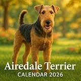 Airedale Terrier: 2026 Calendar
