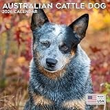 2026 Australian Cattle Dog Calendar - Dog Breed Wall Calendar - 12 x 24 Open - Thick No-Bleed Paper - 14 Month Planner Calendar Organizing & Planning