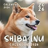 Shiba Inu 2026 Calendar: A Year of Fluffy Smiles & Fox Like Charm