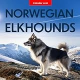 Norwegian Elkhound calendar thumbnail