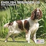 2026 English Springer Spaniel US Calendar - Dog Breed Wall Calendar - 12 x 24 Open - Thick No-Bleed Paper - 14 Month Planner Calendar Organizing & Planning