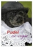 Poodel en Vogue (Wall Calendar 2026 DIN A2 High), CALVENDO Monthly Calendar: Two Cute Poodles as Models