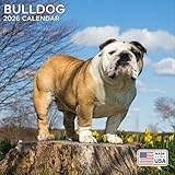 2026 Bulldog Calendar - Dog Breed Wall Calendar - 12 x 24 Open - Thick No-Bleed Paper - 14 Month Planner Calendar Organizing & Planning