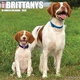 Brittany calendar thumbnail