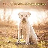 Soft Coated Wheaten Terriers Calendar 2026: Organizer For Home & Office From January to December For Men, Women