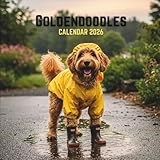 Goldendoodle calendar thumbnail