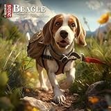 Beagle Calendar 2026: Happy-Go-Lucky Companions with Big Eyes and Brave Hearts