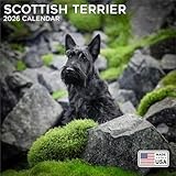 Scottish Terrier calendar thumbnail
