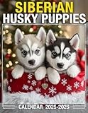 Siberian Husky Puppies Calendar 2025 - 2026: Bring Joy and Stay Organized with Our 24-Month 2025-2026 Planner US Holidays - Perfect for Gifting or White Elephant Parties, Christmas Gift