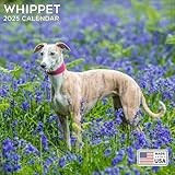 Whippet calendar thumbnail