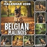 Belgian Malinois Calendar 2026: Brave & Loyal , A Stunning Year of High-Energy Shepherd Dog Breed Moments