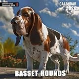 Basset Hounds Calendar 2026: Long-Eared, Big-Eyed Friends in Lazy Day Poses